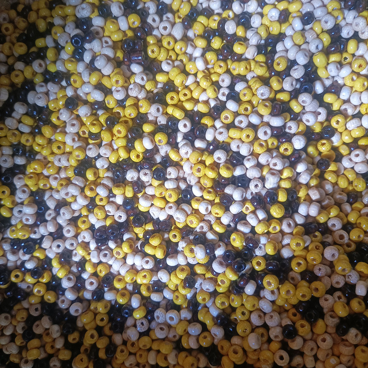 muzhu0405 02 1 (1).jpg